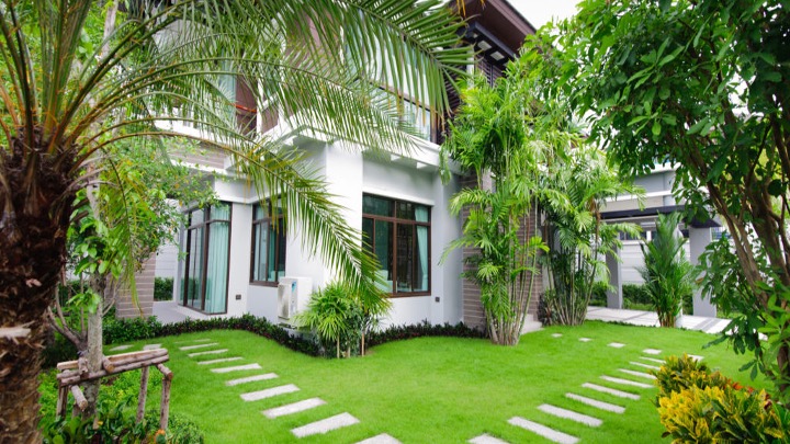 Jardines Tropicales en Casa: Cómo Crear tu Oasis Verde Sin Presupuesto Grande